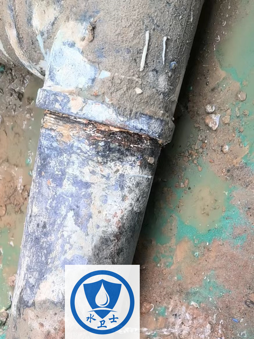 丹陽(yáng)水管查漏案例